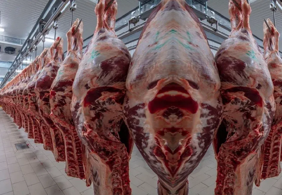 Curso de Aperfeiçoamento Profissional em Manipulação Higiênico Sanitária de Carnes Frescas e Temperadas